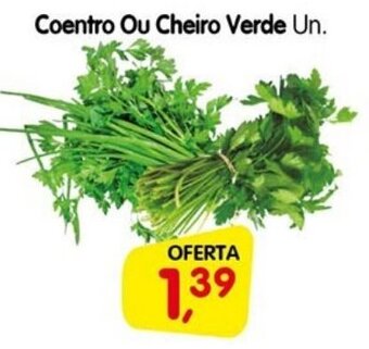 Cercadão Coentro ou Cheiro Verde un. oferta