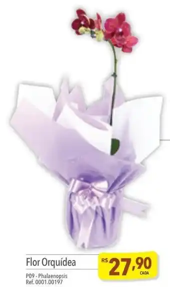 Supermercados Condor Flor Orquídea oferta