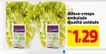 Alface-crespa embalada Qualita unidade