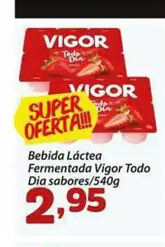Bebida Láctea Fermentada Vigor Todo Dia 540g