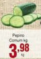 Rossi Supermercado Pepino Comum 1kg oferta