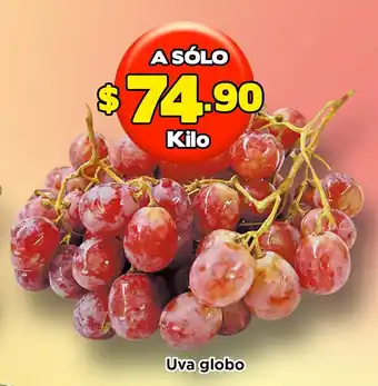 Uva Globo 1kg