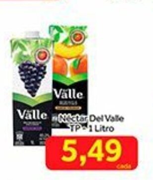 Nectar Del Valle Tp 1L