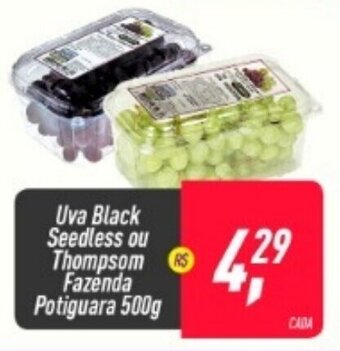Frangolândia Uva Black seedless ou Thompsom Fazenda Potiguara 500g oferta