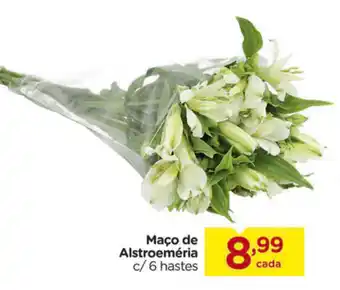 Maco de Alstroemeria