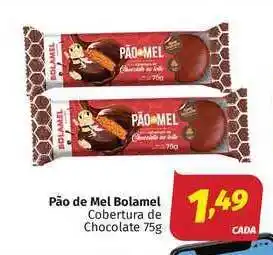 Pão De Mel Bolamel Cobertura De Chocolate 75g