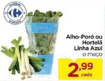 Alho-Poro ou Hortela Linha Azul