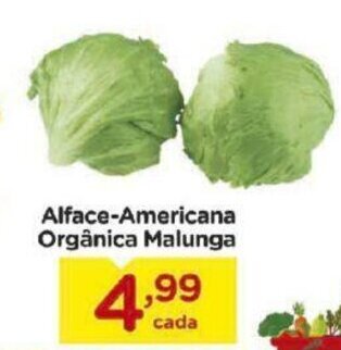 Alface-Americana Organica Malunga