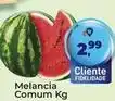 Tonin Superatacado Melancia comum oferta