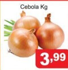Calvo Atacadista Cebola 1kg oferta