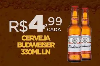 DB Supermercados CERVEJA BUDWEISER 330ML LN oferta