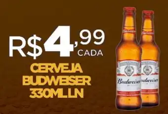DB Supermercados CERVEJA BUDWEISER 330ML LN oferta