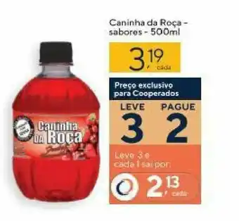 Coop Caninha da Roca - sabores - 500ml oferta