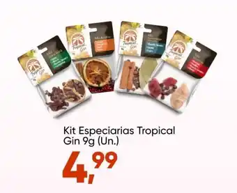 Imec Supermercados Kit Especiarias Tropical Gin 9g oferta