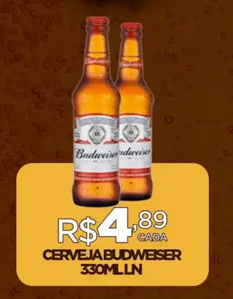 DB Supermercados CERVEJA BUDWEISER 330ML LN oferta