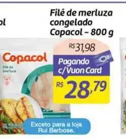 Comper Filé De Merluza Congelado Copacol 800g oferta