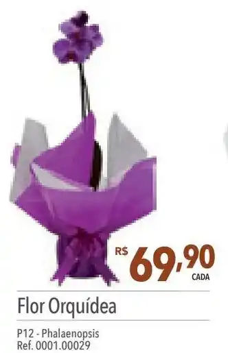 Supermercados Condor Flor Orquídea P12 - Phalaenopsis Ref. 0001.00029 oferta