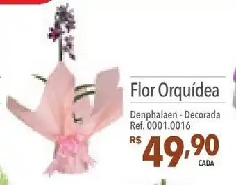 Supermercados Condor Flor Orquídea Denphalaen - Decorada Ref. 0001.0016 oferta