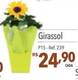 Supermercados Condor Girassol P15-Ref. 239 oferta