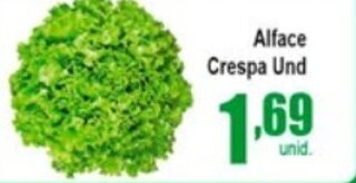 Alface Crespa Und.