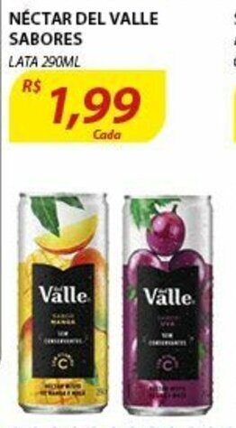Assaí Atacadista Nectar Del Valle Sabores 290ml oferta