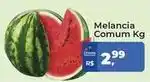 Tonin Superatacado Melancia comum oferta