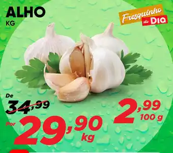Dia ALHO KG oferta