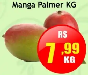 Manga Palmer KG