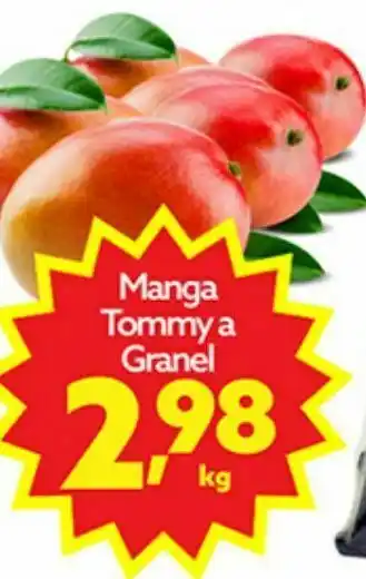 Manga tommy a granel