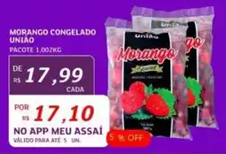 Assaí Atacadista MORANGO CONGELADO UNIÃO PACOTE 1,002KG oferta