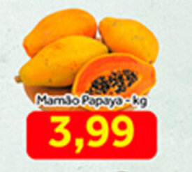 Shibata Supermercados Mamao Papaya 1kg oferta