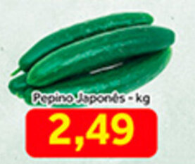 Pepino Japones 1kg