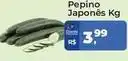 Tonin Superatacado Pepino japonês oferta