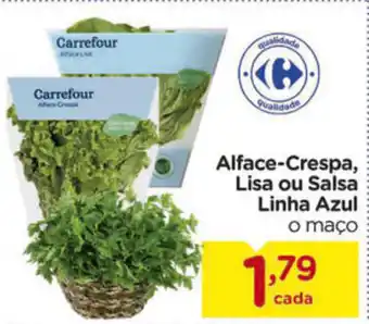 Carrefour Alface-crespa Lisa ou Salsa Linha Azul oferta