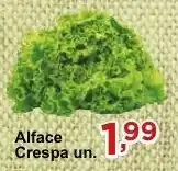 Alface Crespa un.