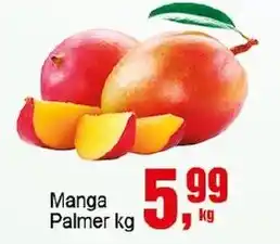 Negreiros Manga Palmer Kg oferta