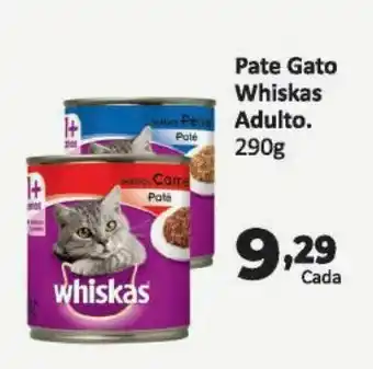 Patê para gatos whiskas