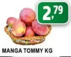 Manga Tommy 1kg