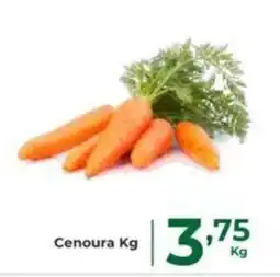 Comercial Esperança Cenoura Kg oferta