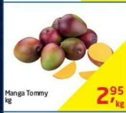 Tenda Atacado Manga tommy kg oferta