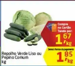 Tenda Atacado Repolho verde liso ou pepino comum oferta