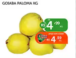 CenterBox Goiaba paloma oferta