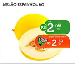 Melão espanhol