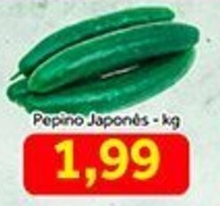 Shibata Supermercados Pepino Japones 1kg oferta