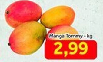 Shibata Supermercados Manga Tommy 1kg oferta