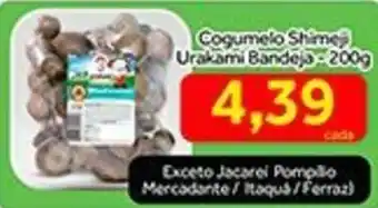 Cogumelo Shimeji Urakami Bandeja 200g