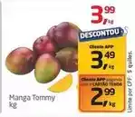 Tenda Atacado Tommy - manga oferta