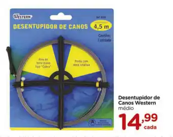 Desemtupidor de Canos Western