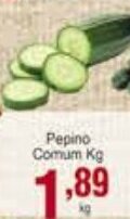 Rossi Supermercado Pepino Comum 1kg oferta
