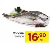 Carrefour Corvina oferta